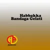 About Habbakka Bandaga Gelati Song